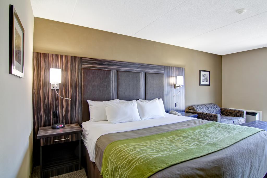 Comfort Inn Saint Catharines Exterior photo